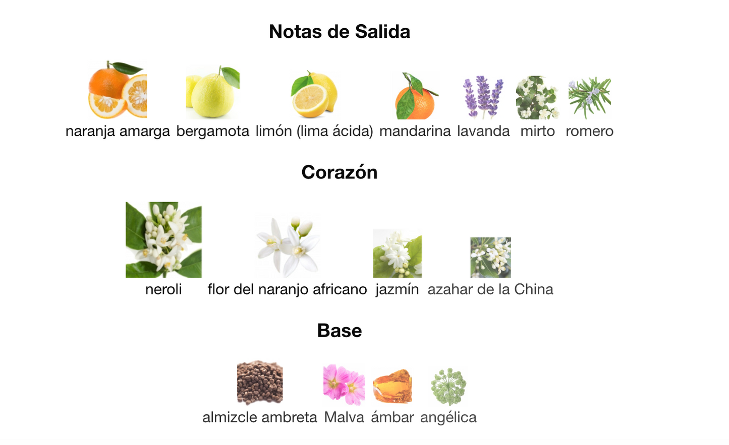 Neroli RIviera